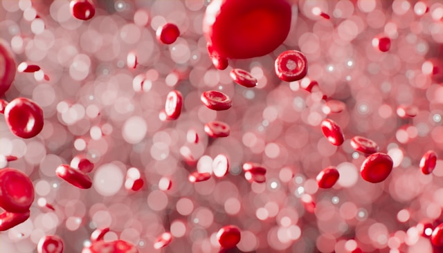 Understanding Cellular Aging