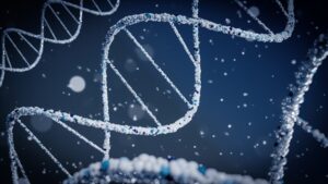 Cellular Health and Aging
